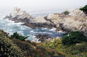 point lobos shore
